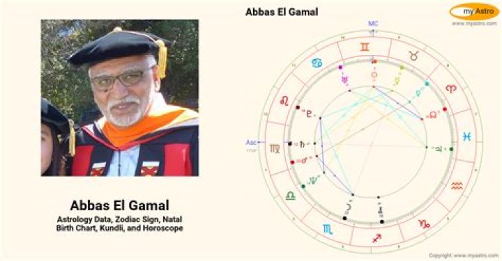 Abbas El Gamal Biography, Age, Height, Wife, Net Worth, Family