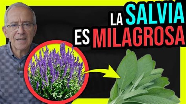 Ana La Salvia biografía, edad, altura, esposa, net worth, familia